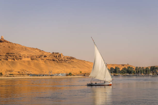 faluca navegando en el río nilo en aswan, egipto - felucca boat fotografías e imágenes de stock