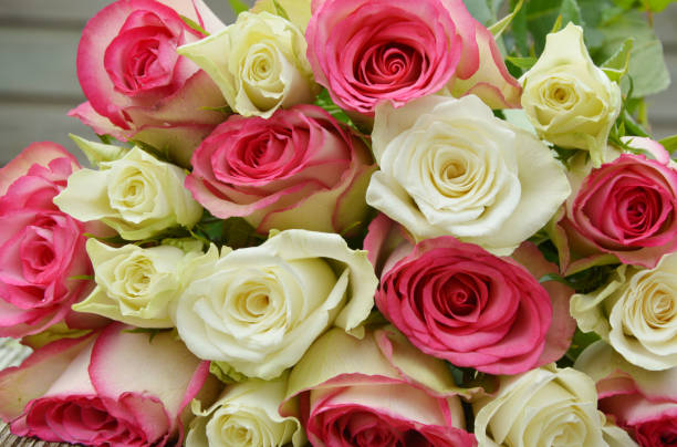 istock pink and white roses on the wooden table 1018424436