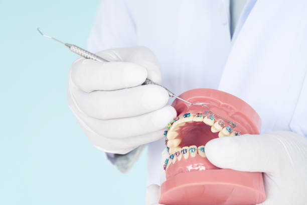 istock Dentist  and orthodontic model. 1018432752