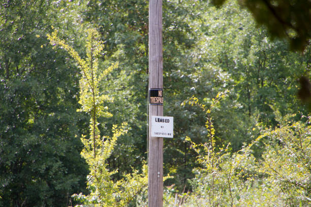 istock Leased, No Trespassing signs on a pole with forest 1018439686