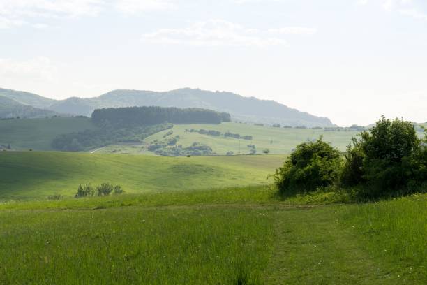 istock Sunrise and sunset over the hills and town. 1018439772