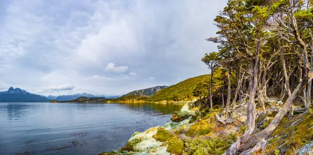 Photo of Beautiful landscape of lenga forest, mountains and lagoon at Tierra del Fuego National Park, Patagonia