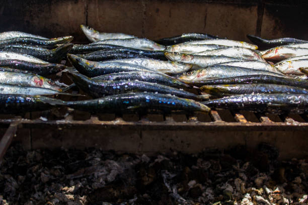 fresh raw sardines prepared on the charcoal grill. portugal - santos populares imagens e fotografias de stock