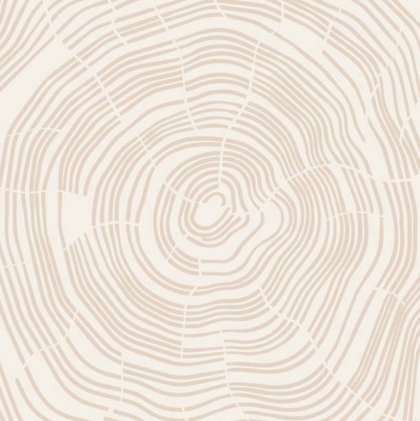 ilustrações de stock, clip art, desenhos animados e ícones de tree growth rings - wood tree textured wood grain