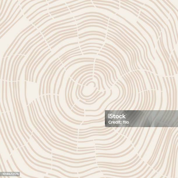Tree Growth Rings Lettering Tree Growth Rings Stock Illustration - Download Image Now - Wood Grain ...