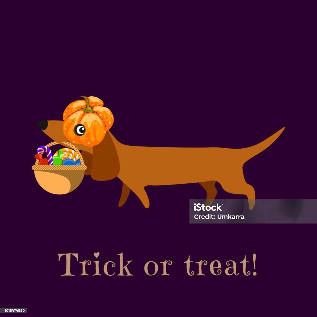 Dachshund in carries a pumpkin basket with sweets. The inscription Trick or Treat. Poster, postcard, stand. Vector Basket stock vector