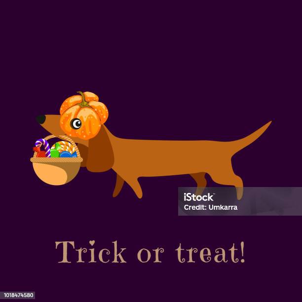 Dachshund In Carries A Pumpkin Basket With Sweets The Inscription Trick Or Treat Poster Postcard Stand Vector Stock Illustration - Download Image Now