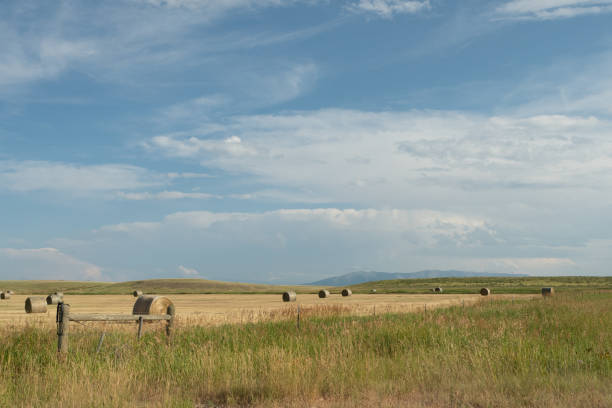 A hay field with large round hay bales, wood and barbed wire fence and grass in the foreground, mountains in the distance and blue sky with clouds above.
