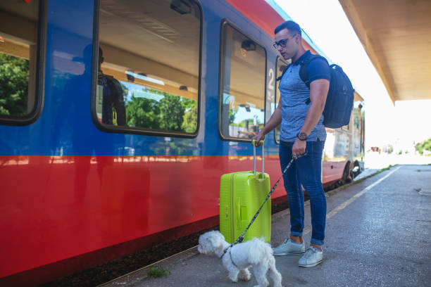 istock Young man traveling  by train 1018482494
