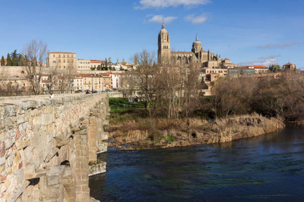 istock Salamanca from the roman bridge (Spain) 1018493268