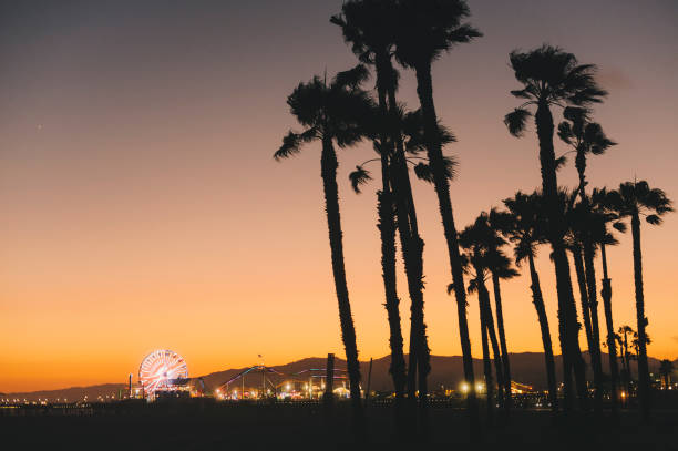 istock Palm Trees with Santa Monica Pier at Sunset 1018493560