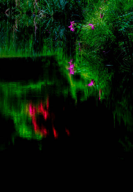 Deep vivid colors and splashes of red reflected in the deep waters of a lake