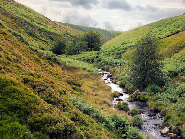 istock a steep moorland valley with a river running though rocky landscape with dramatic sky and small trees in the yorkshire dales 1018498514