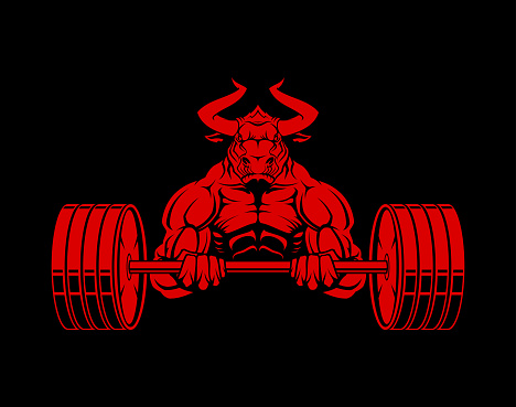 Strong ferocious muscular bull character with heavy barbell - vector cut out illustration.