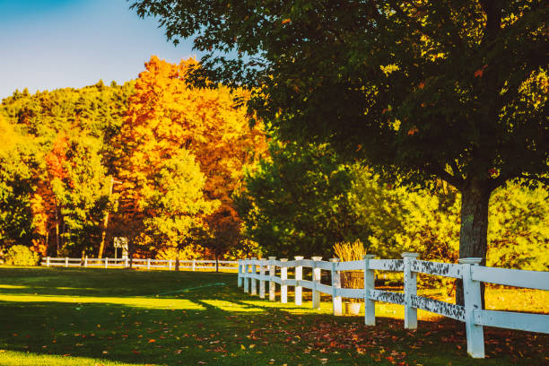istock Indian Summer in New England, USA 1018498790