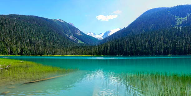 istock Panoramic Landscape of Lower Joffre Lake 1018508898