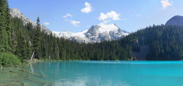 istock Panoramic Landscape of Middle Joffre Lake 1018508904