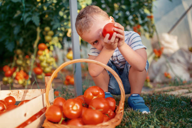 istock Little boy in greenhouse 1018521450