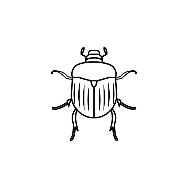 Vector illustration of Chafer icon. Insect world elements icon. Premium quality graphic design icon. Simple line icon for websites, web design, mobile app, info graphics