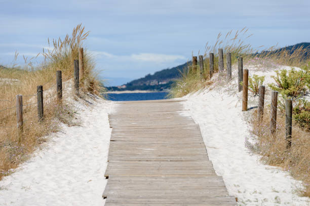istock wooden path to the sea beach 1018530552