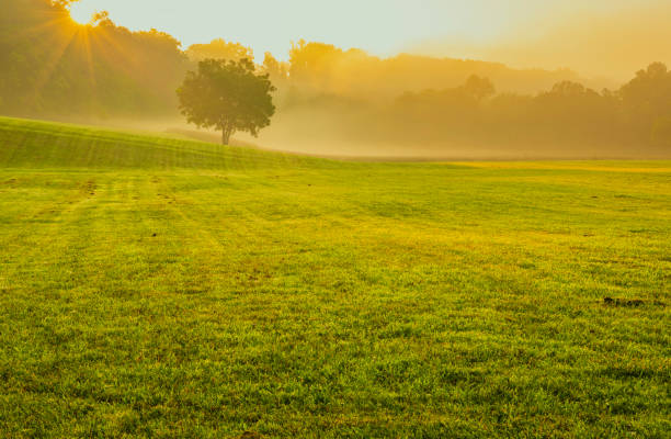Only when the sun shines Peaceful foggy sunrise over rural landscape in Gladstone, New Jersey featuring dreamy meadows gladstone new jersey stock pictures, royalty-free photos & images