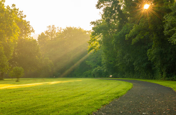 Warm summer sun Beautiful forest sunrise scenery in Gladstone, New Jersey featuring path and grass on the foreground and sun rays beaming through the trees on the background gladstone new jersey stock pictures, royalty-free photos & images