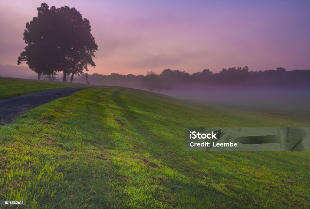 That peaceful moment Peaceful foggy sunrise over rural landscape in Gladstone, New Jersey featuring dreamy meadows Gladstone - New Jersey Stock Photo