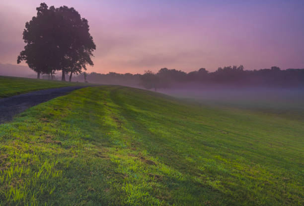 That peaceful moment Peaceful foggy sunrise over rural landscape in Gladstone, New Jersey featuring dreamy meadows gladstone new jersey stock pictures, royalty-free photos & images