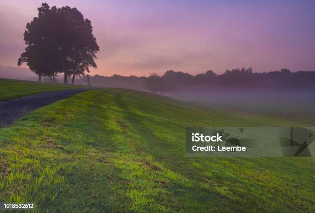 That Peaceful Moment Stock Photo - Download Image Now - Gladstone - New Jersey, Agricultural Field, Agriculture