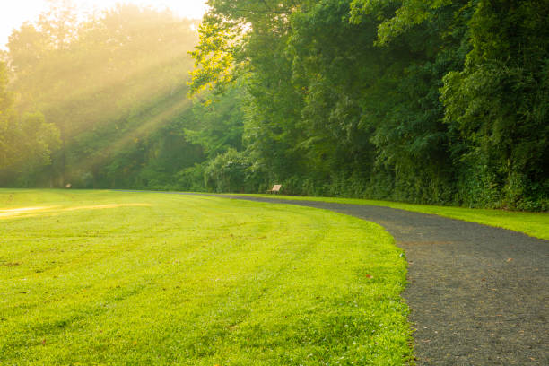 Warm summer sun Beautiful forest sunrise scenery in Gladstone, New Jersey featuring path and grass on the foreground and sun rays beaming through the trees on the background gladstone new jersey stock pictures, royalty-free photos & images
