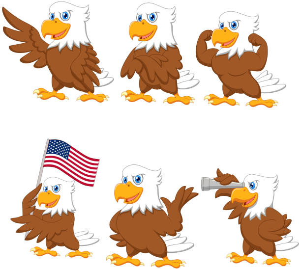 illustrazioni stock, clip art, cartoni animati e icone di tendenza di set collezione cartoon eagles - sea eagle immagine