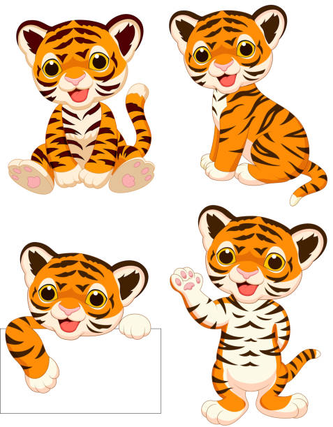 Conjunto de coleta de tigres de bebê dos desenhos animados - ilustração de arte em vetor