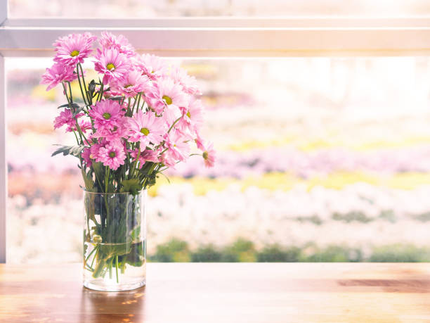 istock pink Chrysanthemum flower in glass vase 1018568412