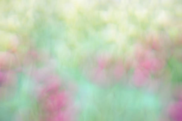 istock Blurred Floral field background. Blurred Nature Background. 1018603124