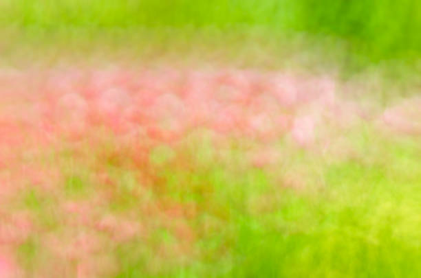 Blurred Pink Floral field background. Blurred Nature Background.