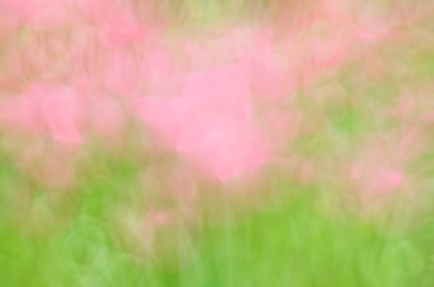 istock Blurred Floral field background. Blurred Nature Background. 1018603280