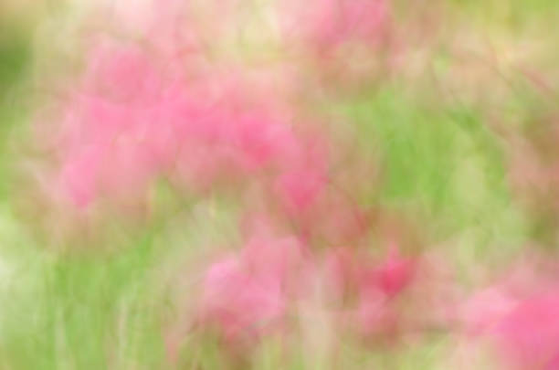 istock Blurred Floral field background. Blurred Nature Background. 1018603356