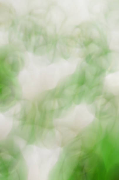 Blurred Floral field background. Blurred Nature Background.