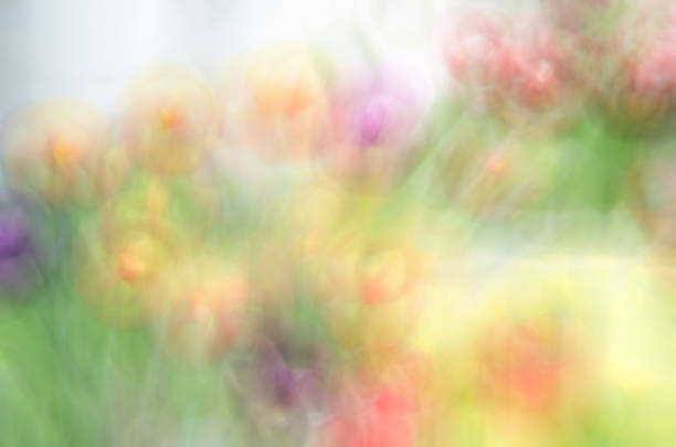 istock Blurred Floral field background. Blurred Nature Background. 1018603412