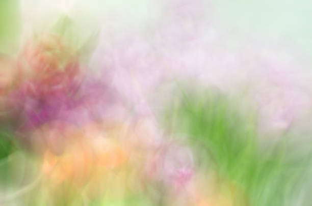 istock Blurred Floral field background. Blurred Nature Background. 1018603444