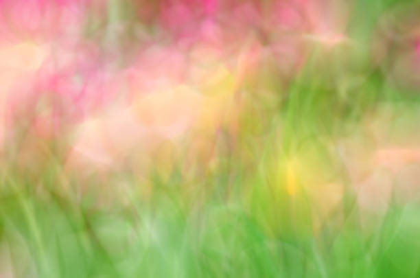 istock Blurred Floral field background. Blurred Nature Background. 1018603524