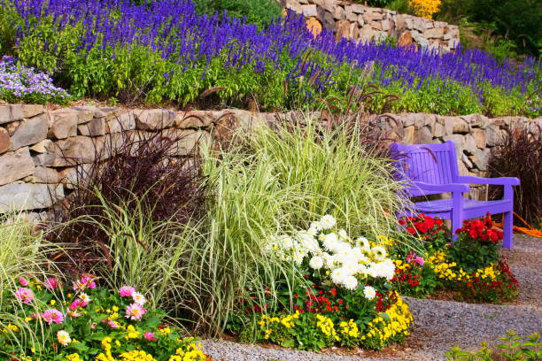 Bench resting seat with lavender field and flowerbed garden - flowers relaxing landscape