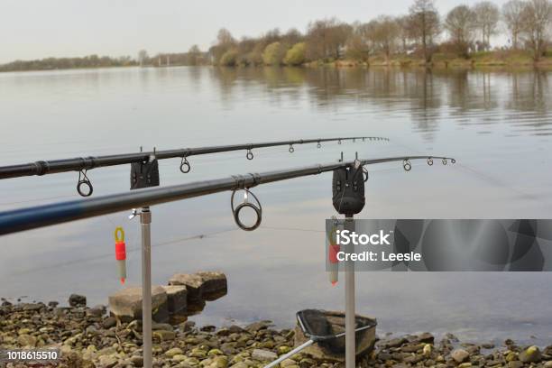 Two Fishing Rods Are Held In Fishing Rod Holders Carp Fishing Rods Fishing  Lines Reels The Concept Of Outdoor Activities Sunrise Stock Photo -  Download Image Now - iStock