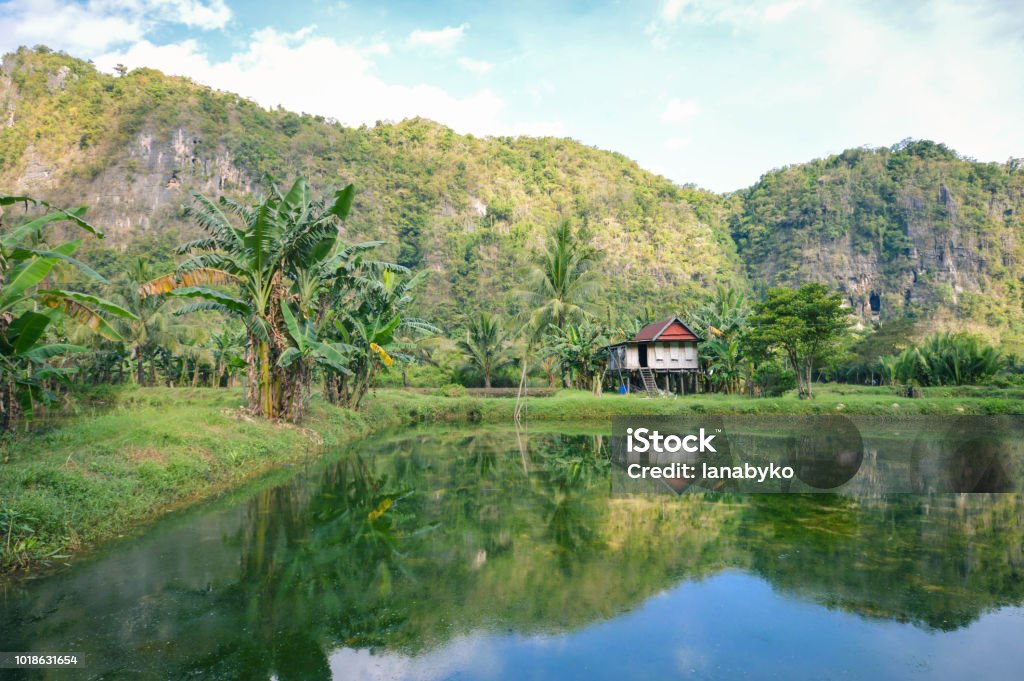 Beautiful limestones and water reflections in Rammang Rammang park, South Sulawesi, Indonesia Beautiful limestones and water reflections in Rammang Rammang park near Makassar, South Sulawesi, Indonesia Sulawesi Stock Photo