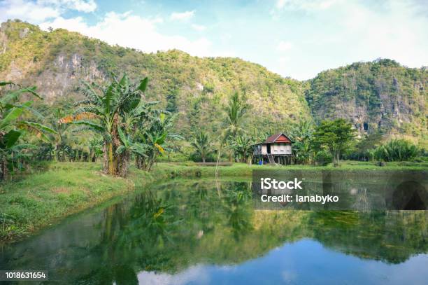Beautiful Limestones And Water Reflections In Rammang Rammang Park South Sulawesi Indonesia Stock Photo - Download Image Now