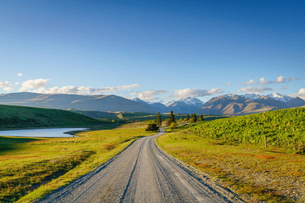 meio da estrada lake tekapo godley picos canterbury nova zelândia - country road road trip middle of the road south island new zealand - fotografias e filmes do acervo