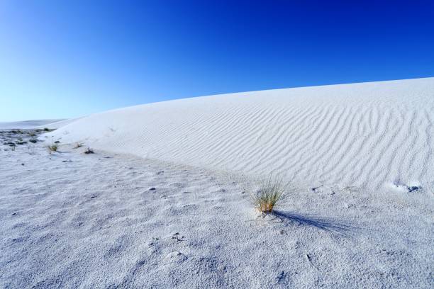 istock White Sands National Monument in New Mexico, USA 1018636666