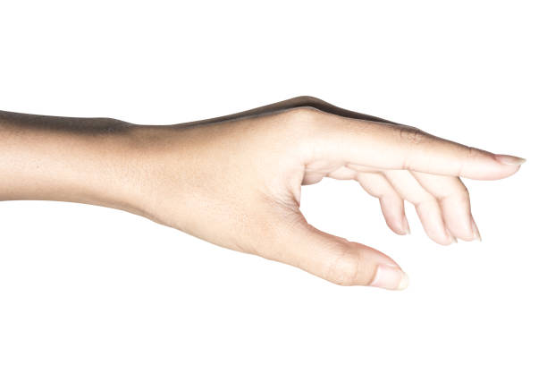 istock Hand open and ready to help or receive. Gesture isolated on white background with clipping path. 1018640140