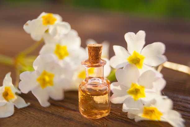 primrose essential oil in  beautiful bottle on table stock photo
