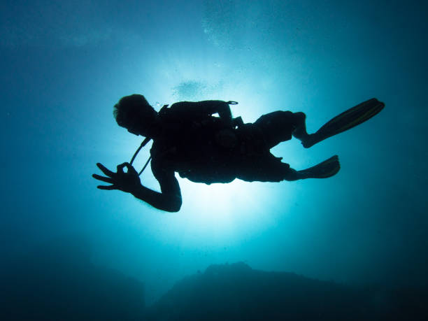 plongeur silhuette - scuba diving flash photos et images de collection